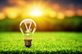 Renewable energy symbol: an eco friendly light bulb on green grass, copy space Royalty Free Stock Photo