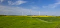 Wind turbines in the rapeseed field Royalty Free Stock Photo