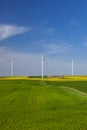 Wind turbines in the rapeseed field Royalty Free Stock Photo