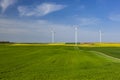 Wind turbines in the rapeseed field Royalty Free Stock Photo