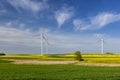 Wind turbines in the rapeseed field Royalty Free Stock Photo