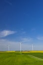 Wind turbines in the rapeseed field Royalty Free Stock Photo