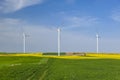 Wind turbines in the rapeseed field Royalty Free Stock Photo