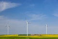 Wind turbines in the rapeseed field Royalty Free Stock Photo