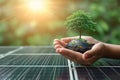 Renewable promise Hand holds tree, solar cell, and globe illustration