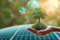 Renewable promise Hand holds tree, solar cell, and globe illustration