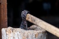 Renewable resource of a energy. Cut logs fire wood and old axe. Old axe stuck in log. Environmental concept. Royalty Free Stock Photo