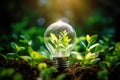 Renewed environmental care: plant inside green energy light bulb