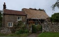Renewing roof reed thatch