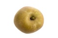 Rennet apples is a very old variety with a pleasant mild dry flavour on white