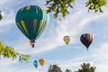 Hot Air Balloons through the Trees, Reno Balloon Race 2019