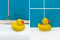 Before and after renovate concept, a duck toy in bathroom closeup Royalty Free Stock Photo