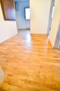 Renovating old apartment and parquet wooden hard floor.