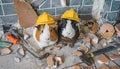 renovation and handicraft concept. guinea pigs wearing helmet renovating bathroom ,ai generated