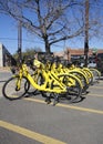 Rental Bikes, Dallas Texas Royalty Free Stock Photo