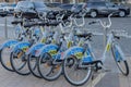 Rental bikes stand on the street of a European city