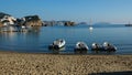 Rental boats at the Giancos beach on Ponza Island in Italy Royalty Free Stock Photo