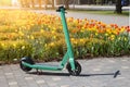 rental electric scooter