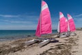 Rental pink sailboat boats at Noirmoutier beach in Vendee France Royalty Free Stock Photo