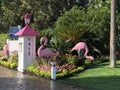 Life Size Pink Flamingoes