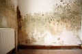 A rented flat with mould on the wall created with generative AI technology