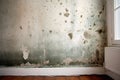 A rented flat with mould on the wall created with generative AI technology