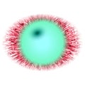 Rentgen photo. Isolated elliptic animal red eye with large pupil and bright retina.