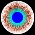 Rentgen scan eye with open pupil and bright blue retina in background. Dark colorful iris around pupil, isolated eye. Royalty Free Stock Photo