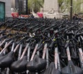 Bicycles for Rent, Central Park, NYC, NY, USA Royalty Free Stock Photo