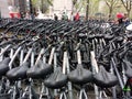 Bicycles for Rent, Central Park, NYC, NY, USA