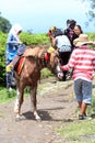 Renting horses