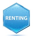 Renting crystal blue hexagon button Royalty Free Stock Photo
