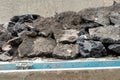 repair of asphalt concrete pavements. Parts of old asphalt. Road repairs