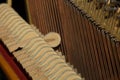 Repair of a stringed musical instrument. The interior of a piano with brass metal strings and a wooden mallet. Old