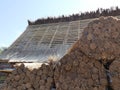 Repair of the thatched roof of an old farmhouse in Germany, Schleswig-Holstein