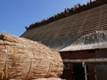 Repair of the thatched roof of an old farmhouse in Germany, Schleswig-Holstein