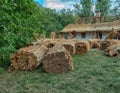 Repair of traditional thatched roof. Ukraine