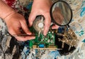 Repair of a cooler of a video card of the stationary personal computer of a hand of the person