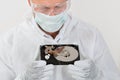 Repairman Looking At Computer Harddisk Royalty Free Stock Photo
