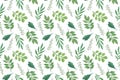 Repeat pattern of watercolor fancy leaves on the white background, hand drawn illustration for making textile, fabrics,