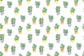 Repeat pattern of watercolor houseplants in colorful flowerpots, hand drawn illustration of homeplants on the white background,