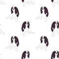 Repeat seamless pattern with flat style cute charles king cavalier spaniel dogs on white background. Stock vector