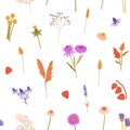 Repeatable pattern of meadow flowers. Floral endless background with dry wildflowers. Wild blossom plants: physalis