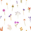 Repeatable pattern of wildflowers: stems of tansies, gypsophila. Wild blossom plants, meadow flowers. Botanical endless