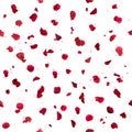 Repeatable Rose Petals and Bokeh Royalty Free Stock Photo