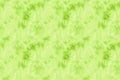 Repeated Grassy Color Spots Distressed Silk. Royalty Free Stock Photo