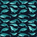 Repeated texture with hand drawn marine mammals: blue whale, white whale and sperm whale. Royalty Free Stock Photo