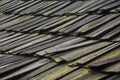 Repeated wooden tiles with moss and lichen in Asia