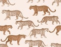 Seamless Pattern of Leaping Leopards on a Pale Background Royalty Free Stock Photo