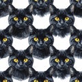 Seamless Pattern of Black Cat Faces with Yellow Eyes on White Background Royalty Free Stock Photo